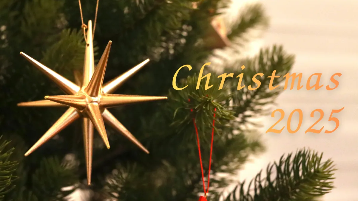 「わが家のクリスマス準備！2025年はあのツリーとオーナメントが新居に仲間入り」のアイキャッチ画像